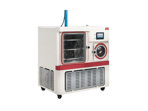 CTFD-20Tɻ(1).png